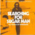 Sixto Rodriguez - Sugar Man